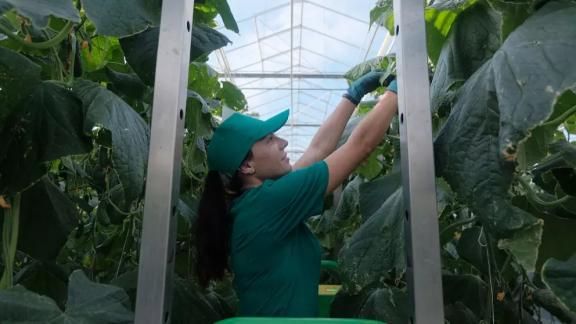 Собственное производство комплектующих для систем капельного орошения запустят на Ставрополье