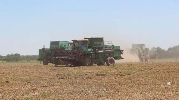 В исправительной колонии № 6 в Курском районе в разгаре уборочная кампания