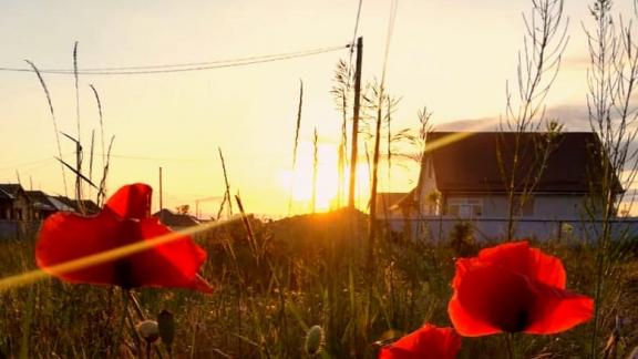 Пыльную бурю и жару в 40 градусов ожидают на Ставрополье