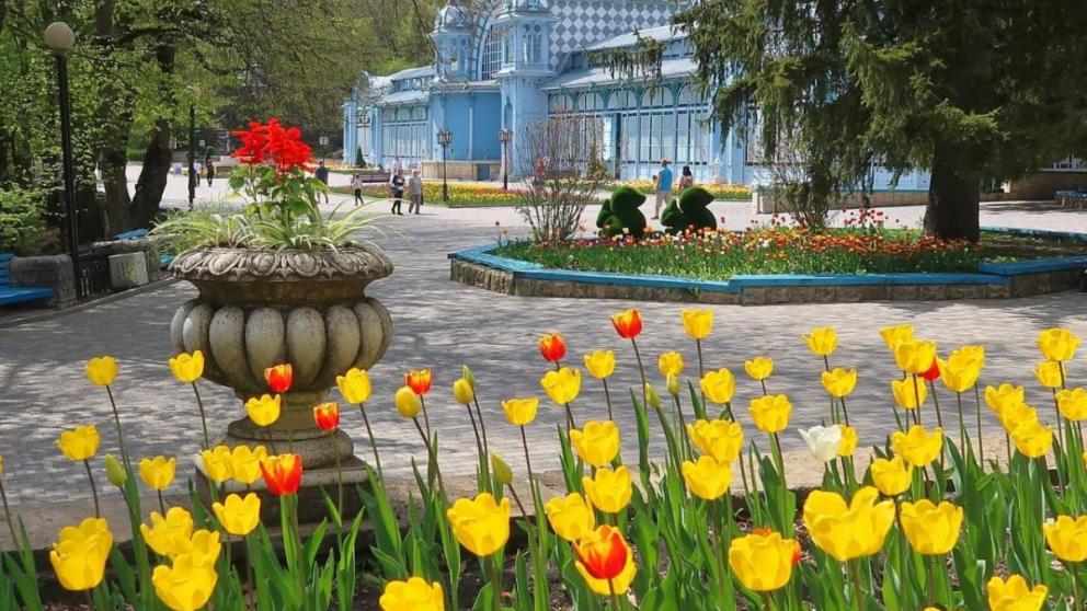 Железноводск назван самым недорогим курортом Юга России