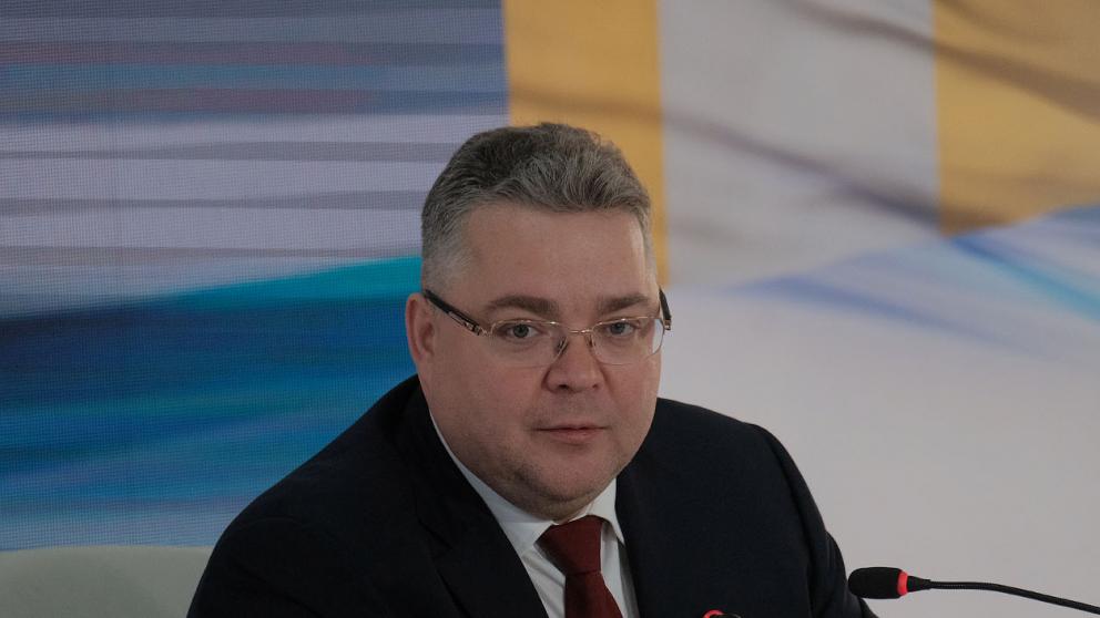 Владимир Владимиров: на Ставрополье построят современные приюты для животных