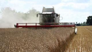 В Кочубеевском округе Ставрополья завершают уборку рапса