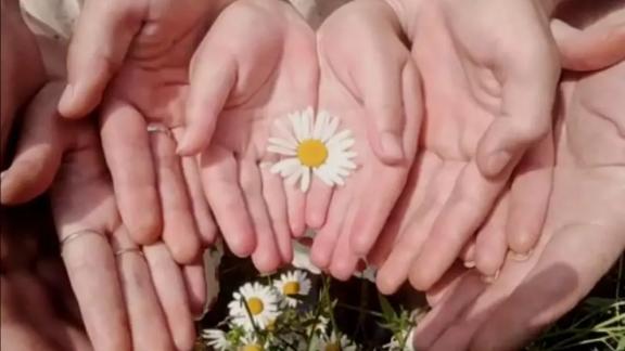 На Ставрополье отмечается ежегодный рост числа многодетных семей