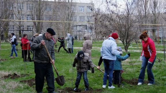 В Буденновке прошел общегородской субботник