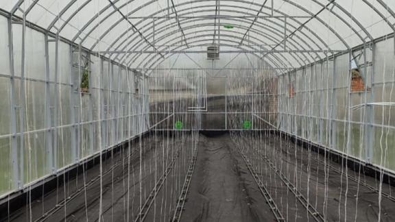 Жители Минеральных Вод заключили 111 соцконтрактов в 2025 году