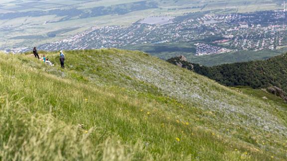Восхождение на гору Бештау детдомовцы Ставрополья посвятили Дню памяти и скорби