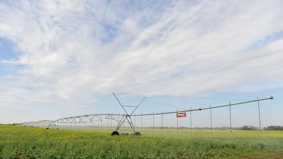 В Георгиевском округе Ставрополья реализуют крупный проект по орошению полей