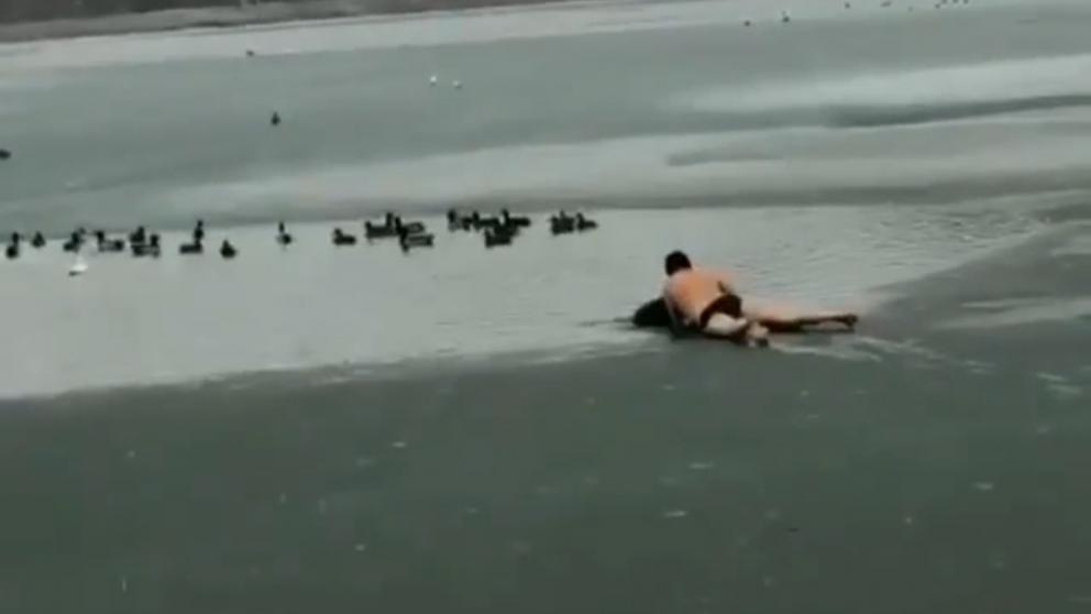 В Ессентуках ищут мужчину, спасшего тонущего пса