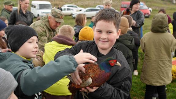 На Ставрополье выпустили 200 северокавказских фазанов на волю.