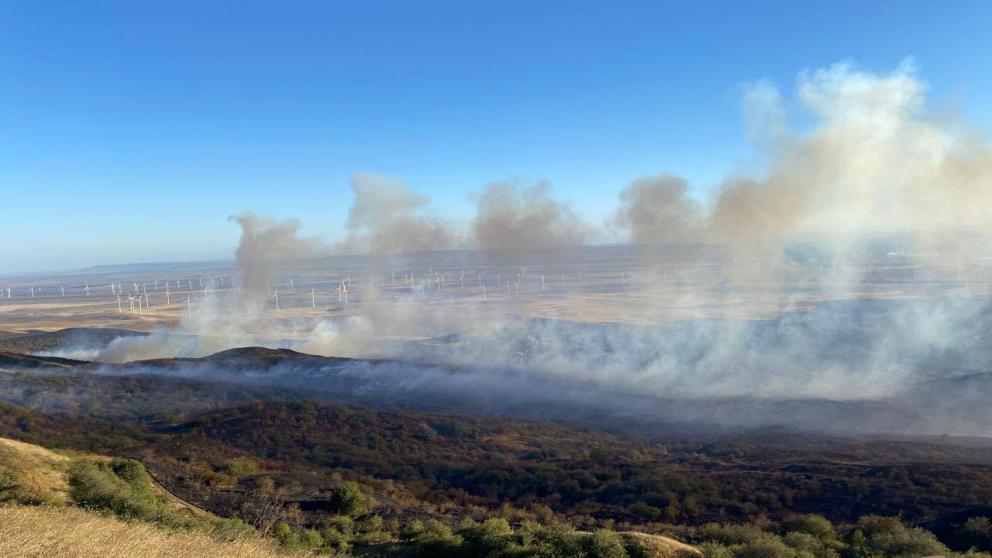 На Ставрополье за сутки ликвидировали 23 возгорания сухой растительности