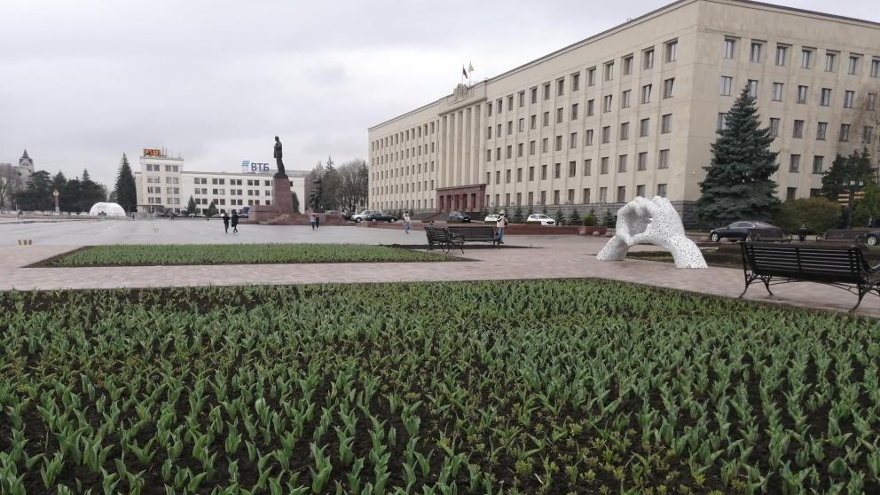 Около 770 тысяч цветов высадят на клумбах Ставрополя