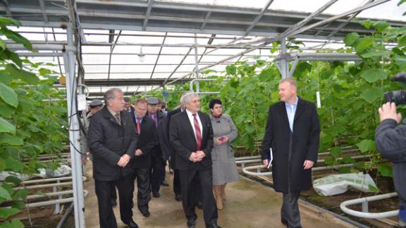 На Ставрополье введен в строй современный тепличный комплекс на 6 гектар