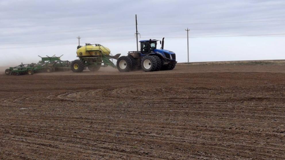 На Ставрополье завершён сев озимых культур