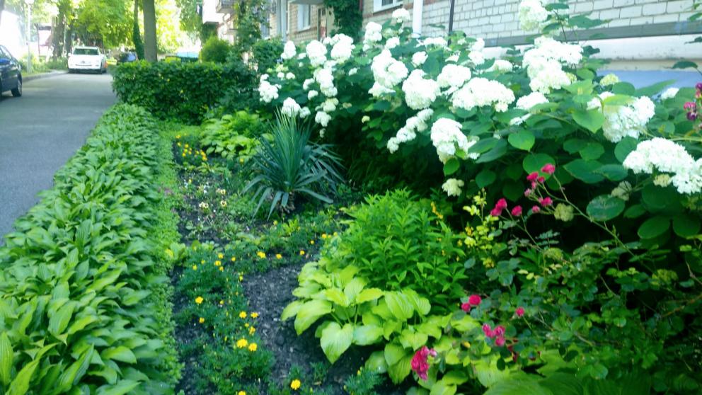 На Ставрополье идёт голосование за лучшие дом и двор