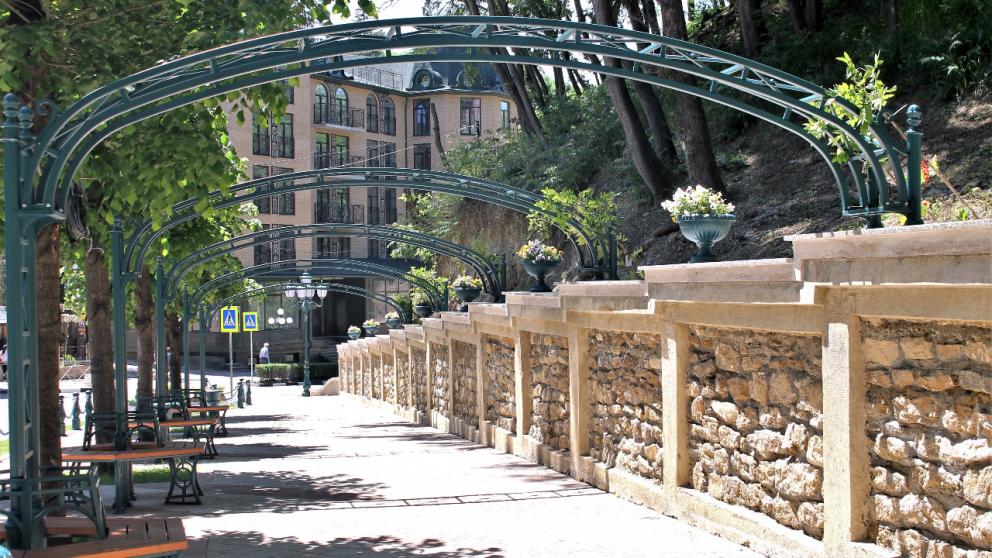 Системы вертикального озеленения развивают в Кисловодске