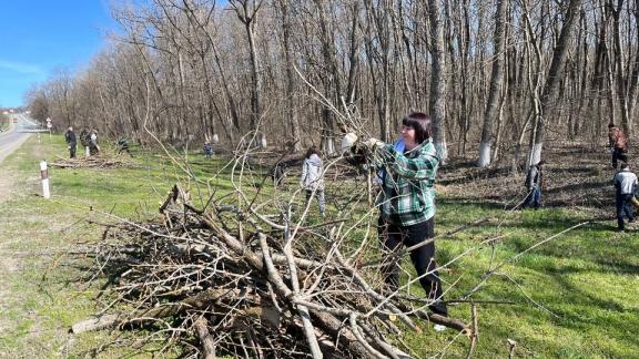 Сотрудники администрации Предгорного округа убрали мусор с лесополосы