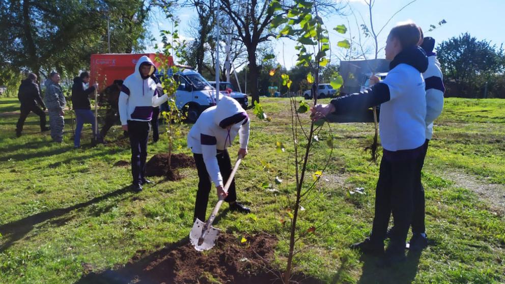 На Ставрополье стартовала экоакция «Сохраним лес»