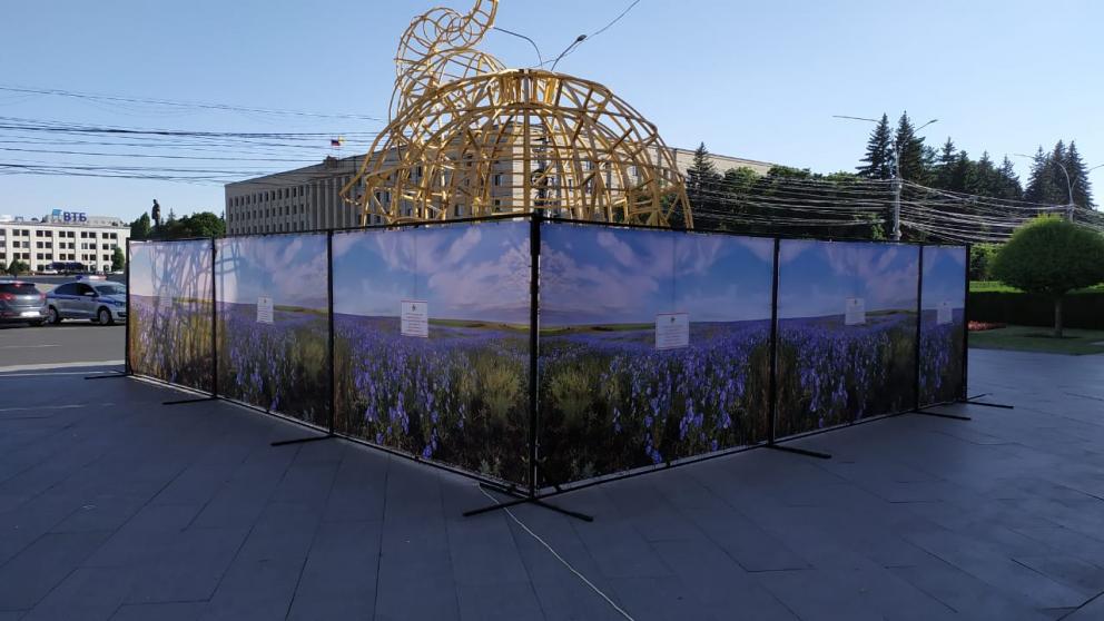 В центре Ставрополя ремонтируют светящегося слона