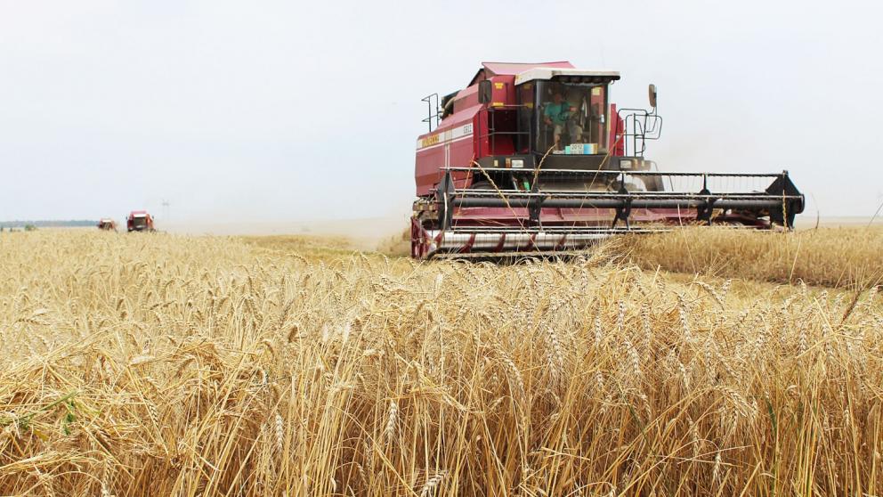 Глава минсельхоза Ставрополья поздравил аграриев края с профессиональным праздником