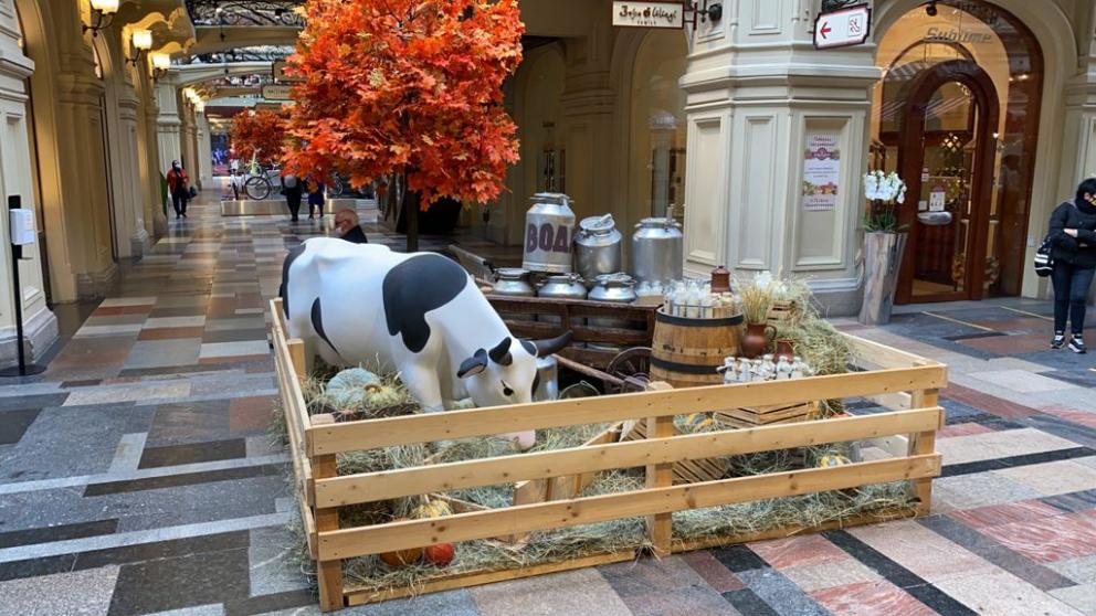 Ставропольский козий сыр продают в ГУМе на Красной площади