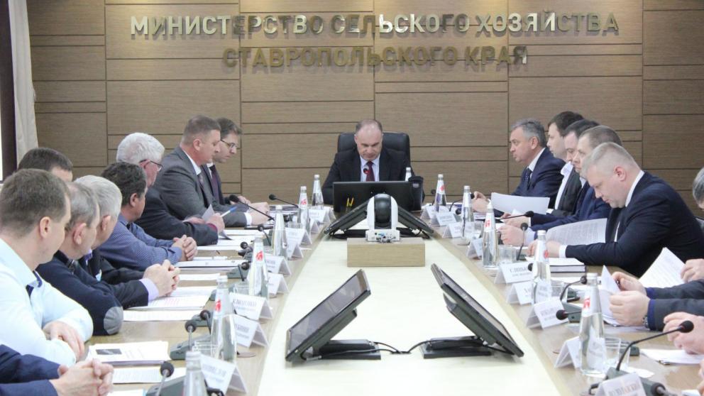 Производство товарной рыбы на Ставрополье увеличилось на 3 процента