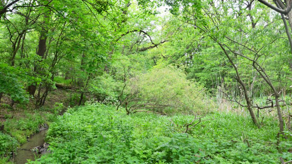 На Ставрополье будет благоустраиваться Ртищева дача