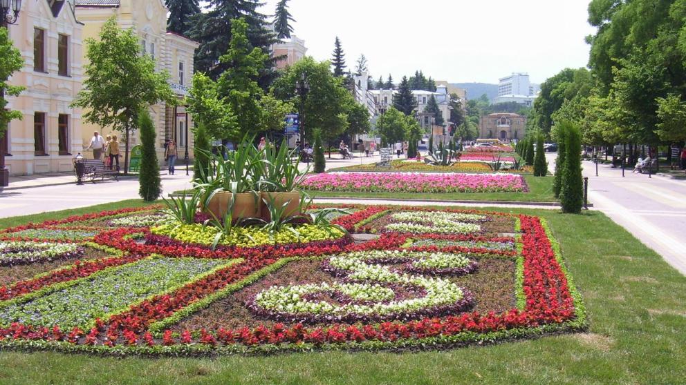 Более полумиллиона цветов высадят в Кисловодске