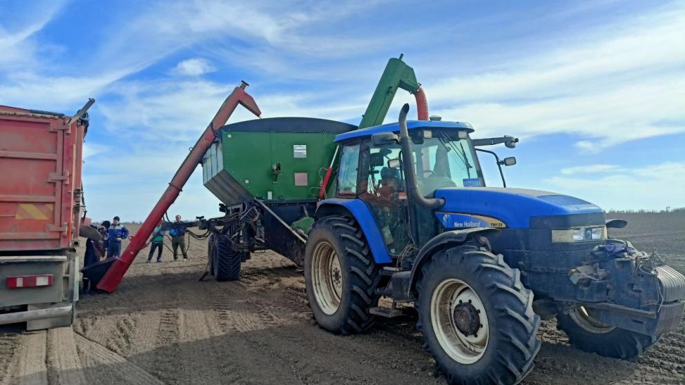 В Будённовском округе Ставрополья приступили к севу озимых