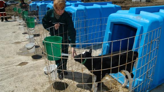 18 крупных инвестпроектов реализуется в АПК Ставрополья