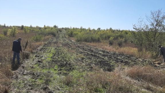 В Ставрополе завершили создание противопожарных барьеров