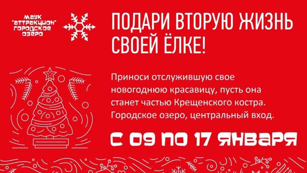 Пункт приёма новогодних ёлок открылся в Ессентуках