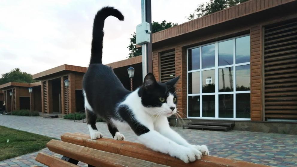 Жара до плюс 38 градусов ожидается на Ставрополье в начале недели