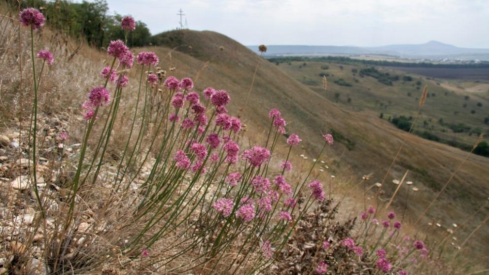 Гора Дубровка и другие заповедные места