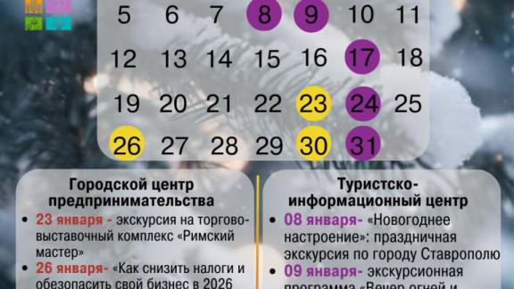 Центр предпринимательства в Ставрополе оказал более 2 тысяч консультаций